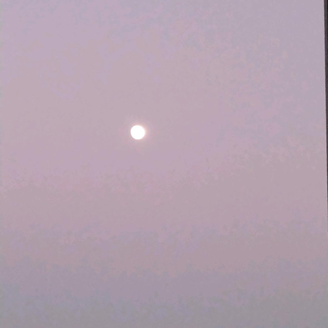 小曾，广东河源