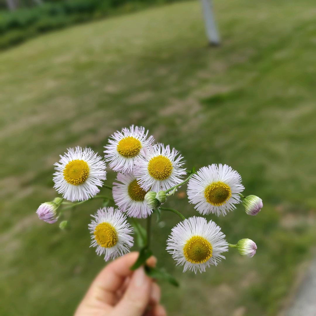 ❤丽妞