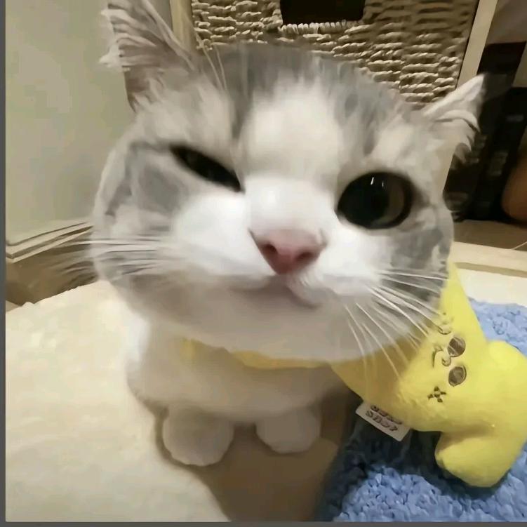 恋玖