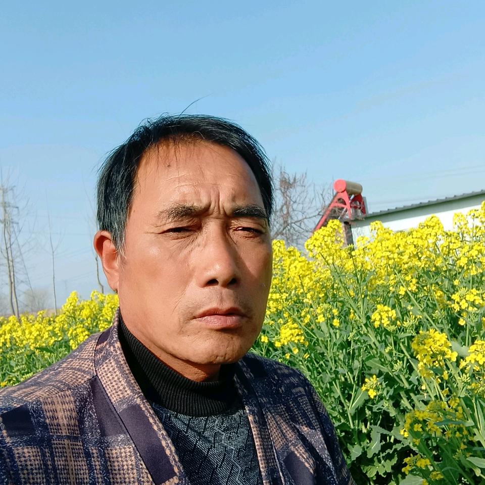 朱军