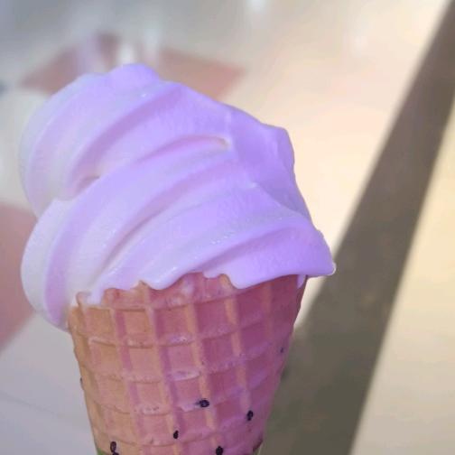 你的名字叫什么