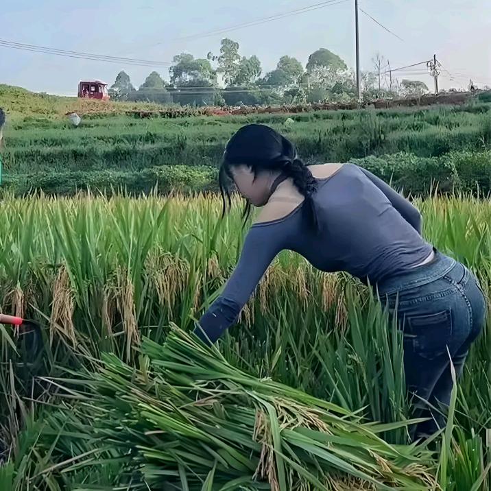 农村菇凉