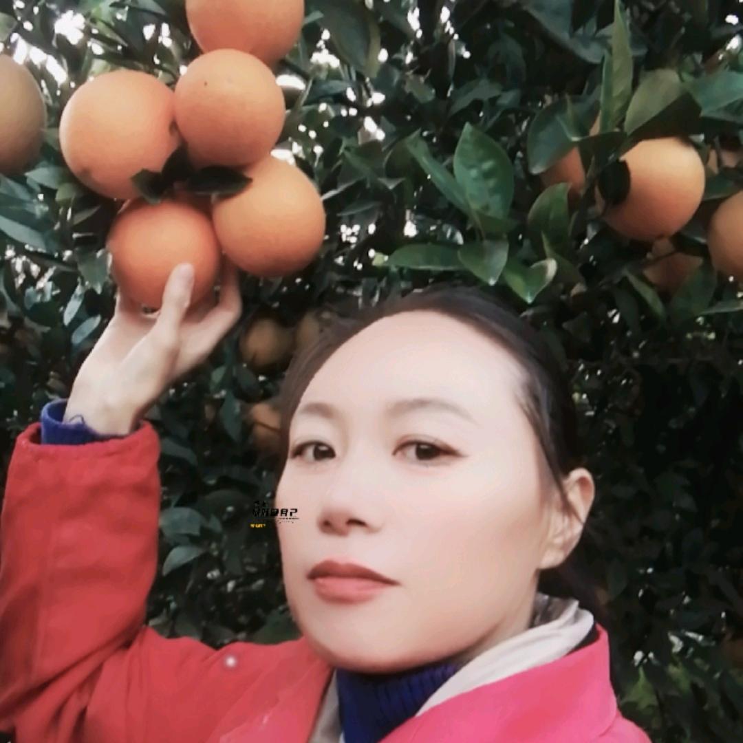 枝江市俊容农资店（个体工商户）