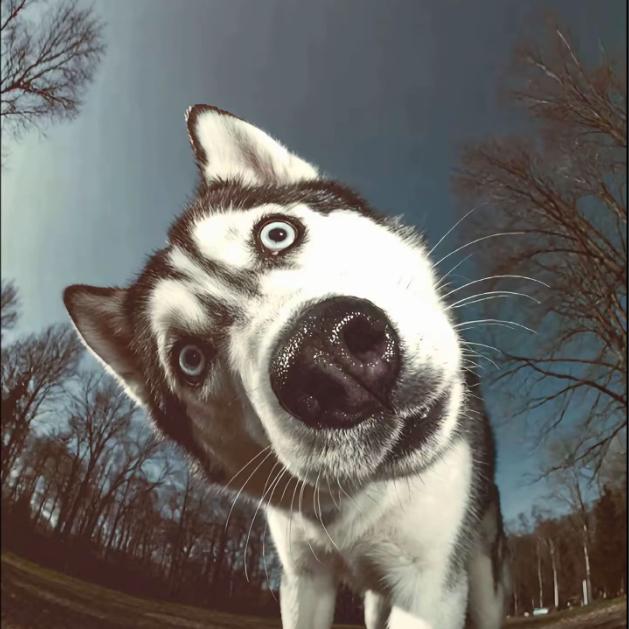 😳
