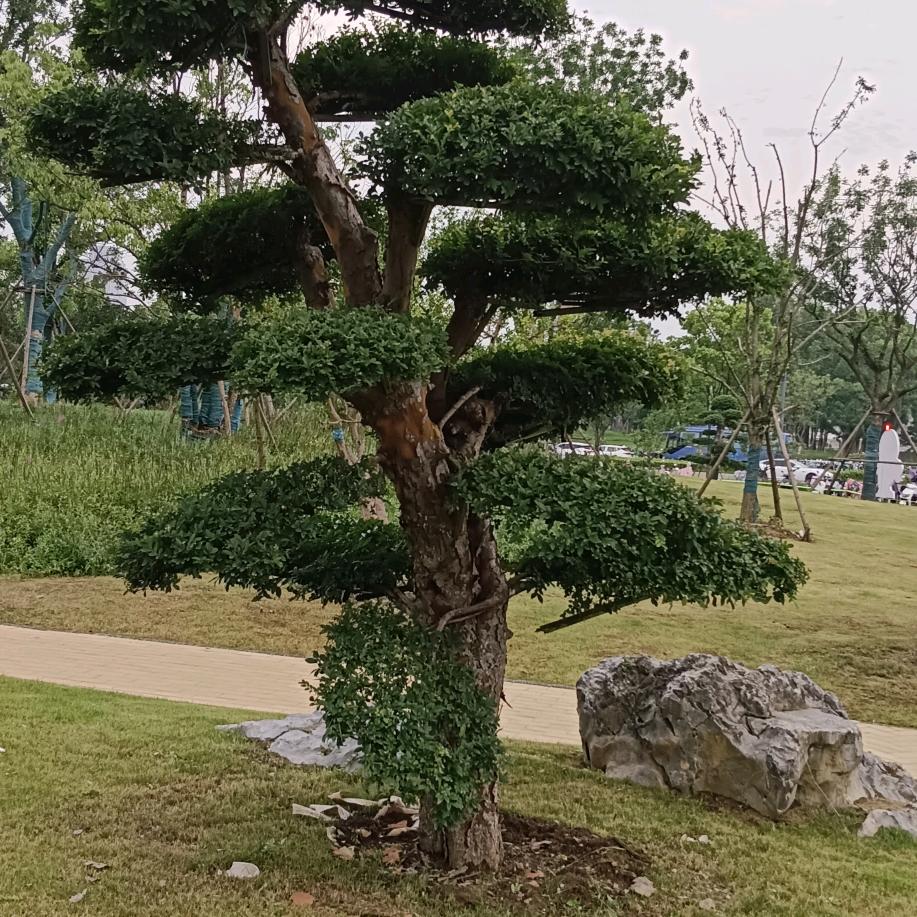 分享