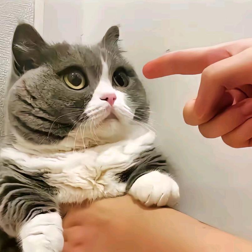 柒煜谙