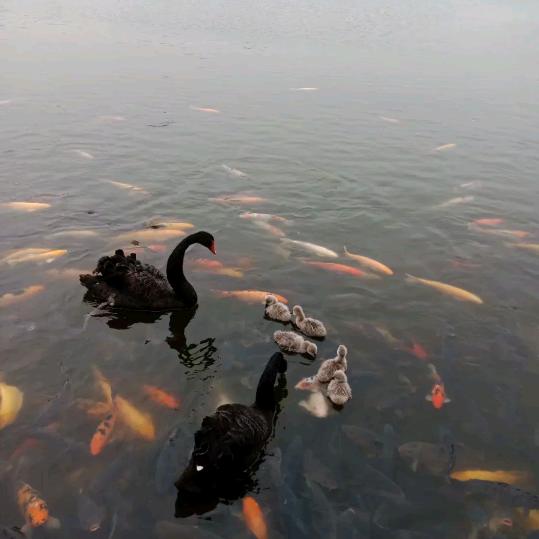 西蒲村安盛木器厂