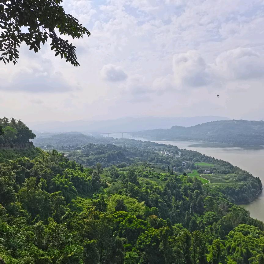 巡游
