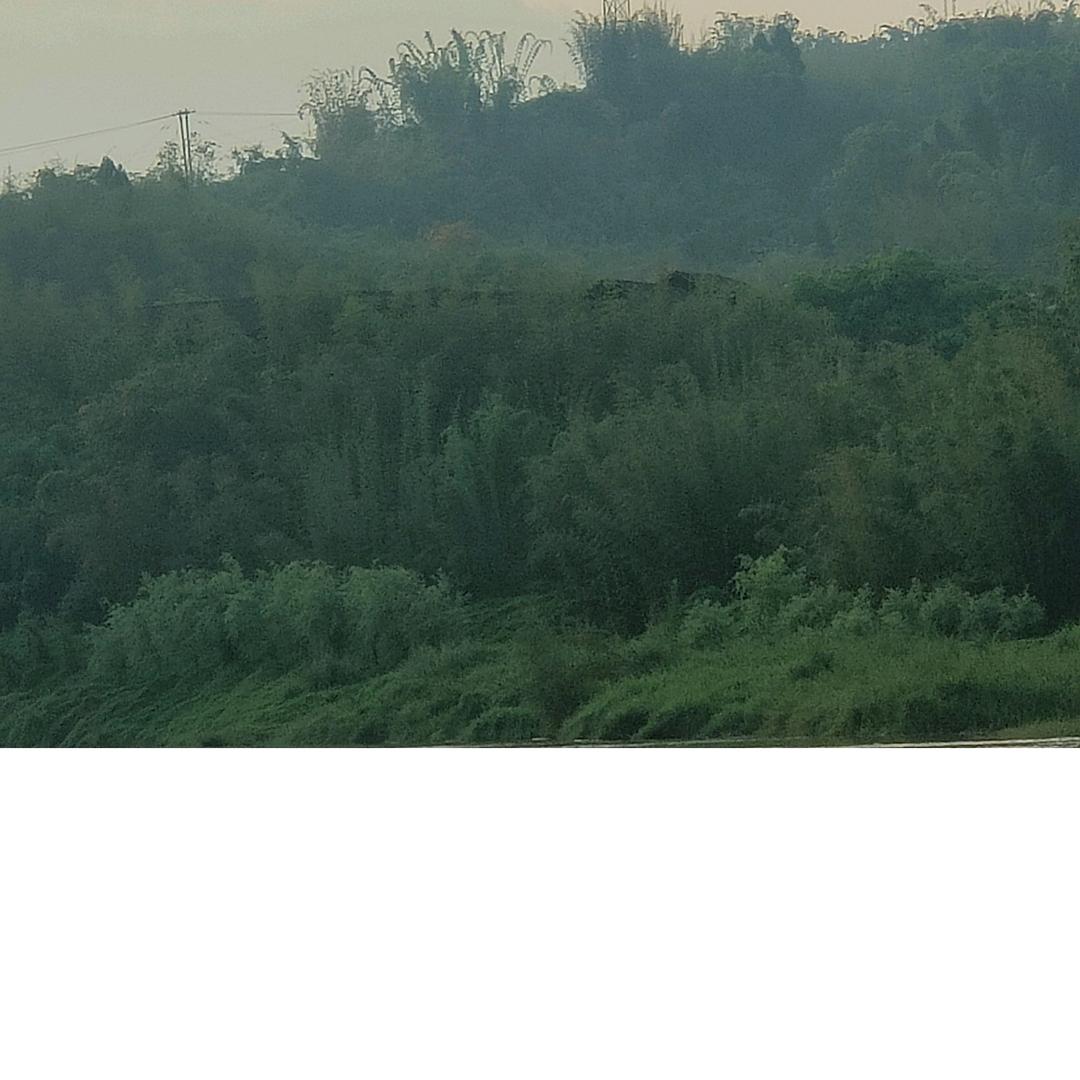 ᏞᎭ⃨ᵉᮨ与盛💞嚣张ઈ࿐