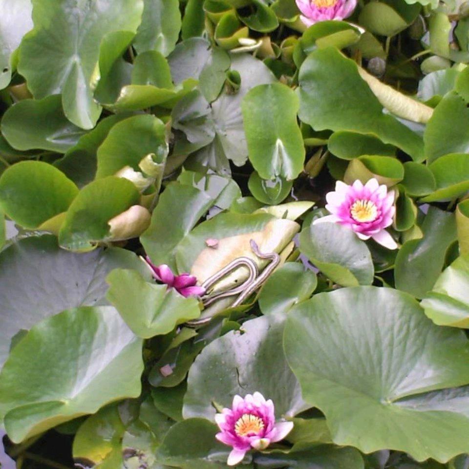 用户（大丰老兵）