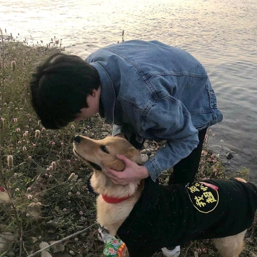 春风十里