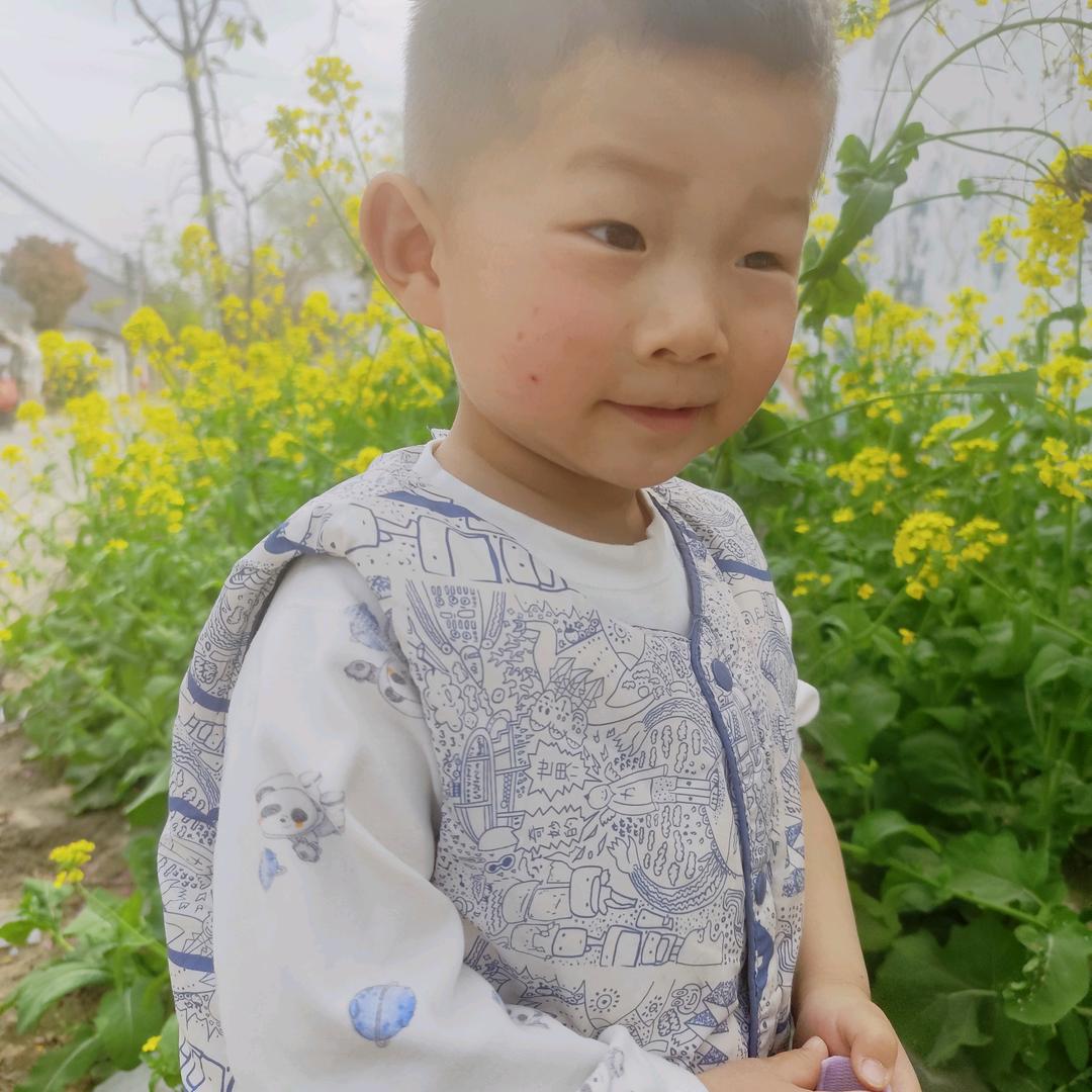 我是老朱