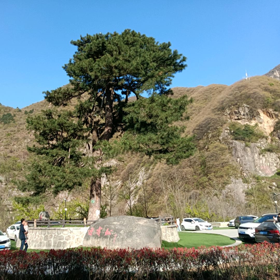 情况不好