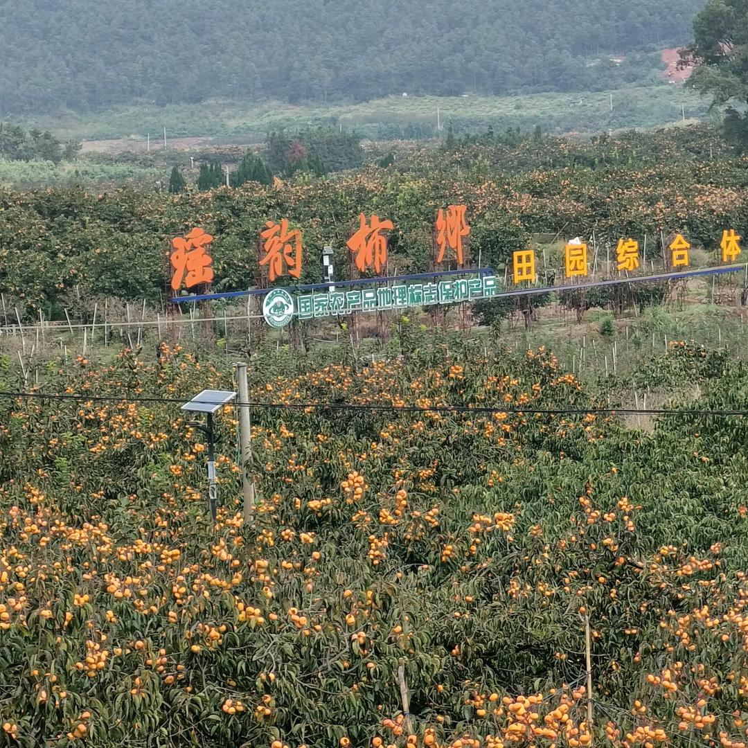 放下