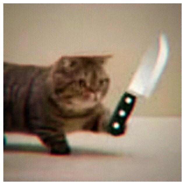 木某鱼kiss[接代剪🥳]