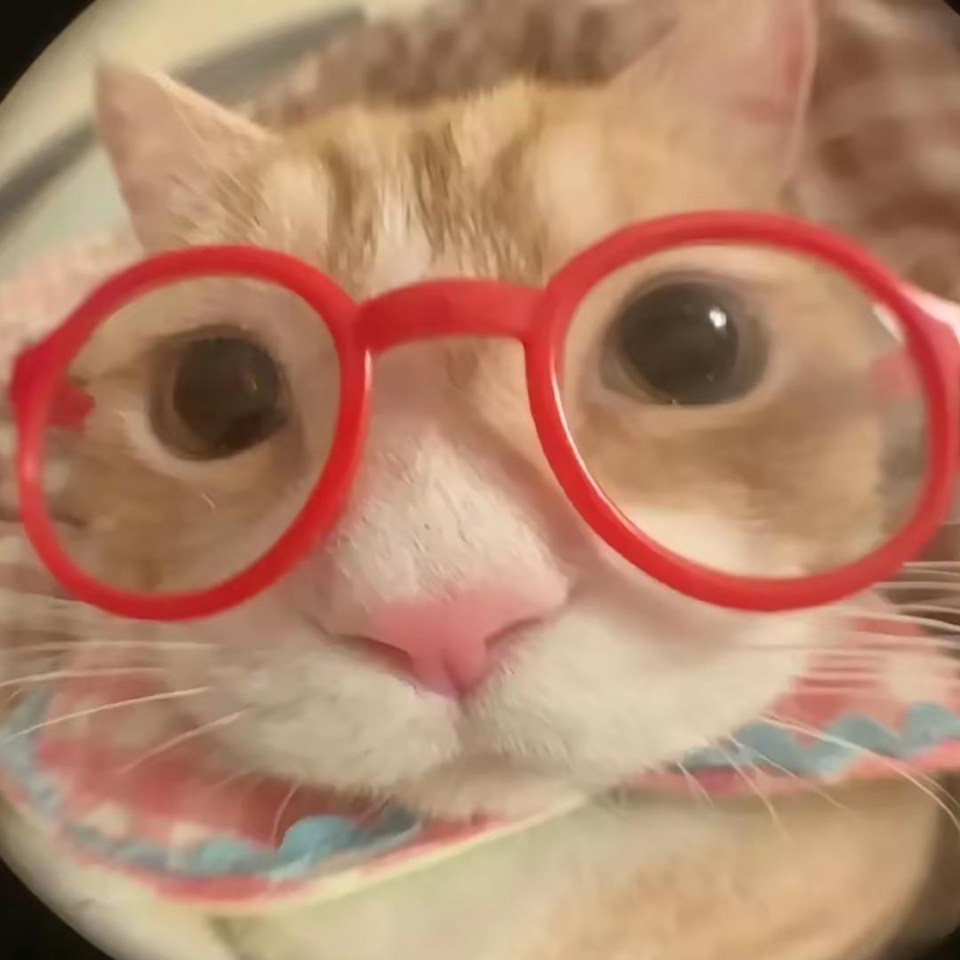 呆呆
