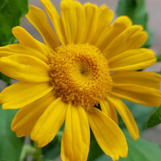 美美满满的幸福