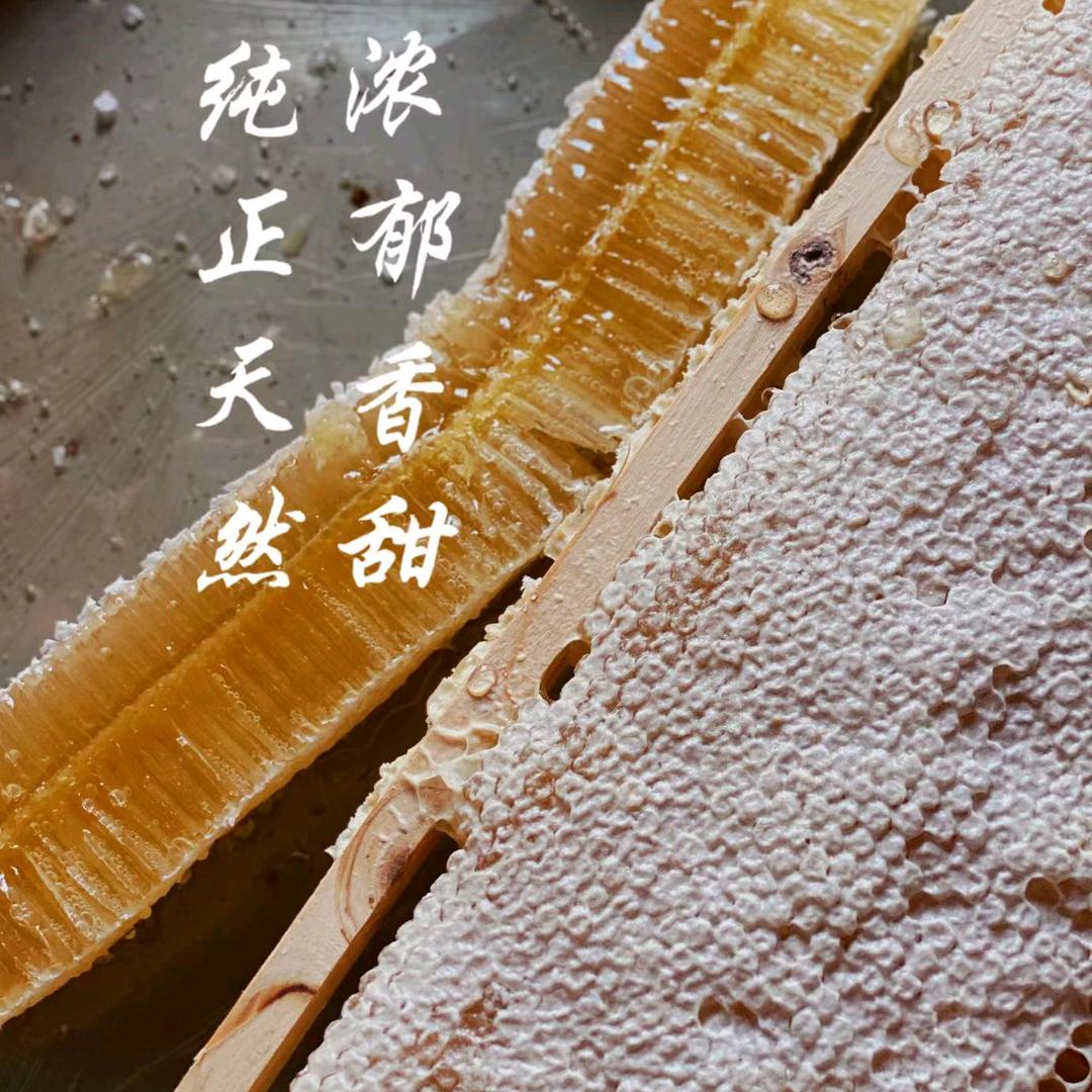 蜂舞铜鼓郑细毛