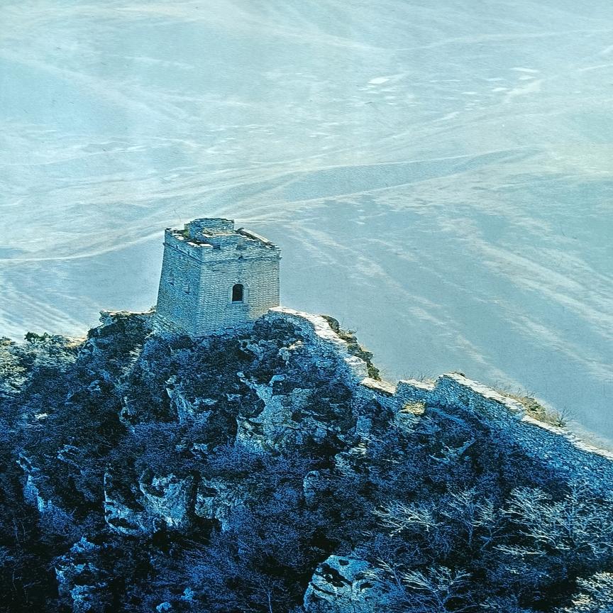 南山男