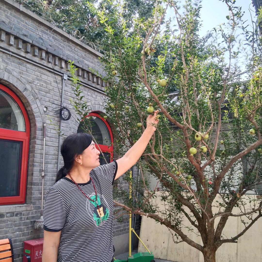 ✨～何时归来～ ✨