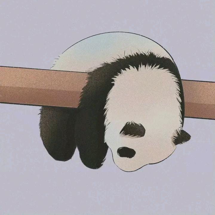 荒诞且浪漫