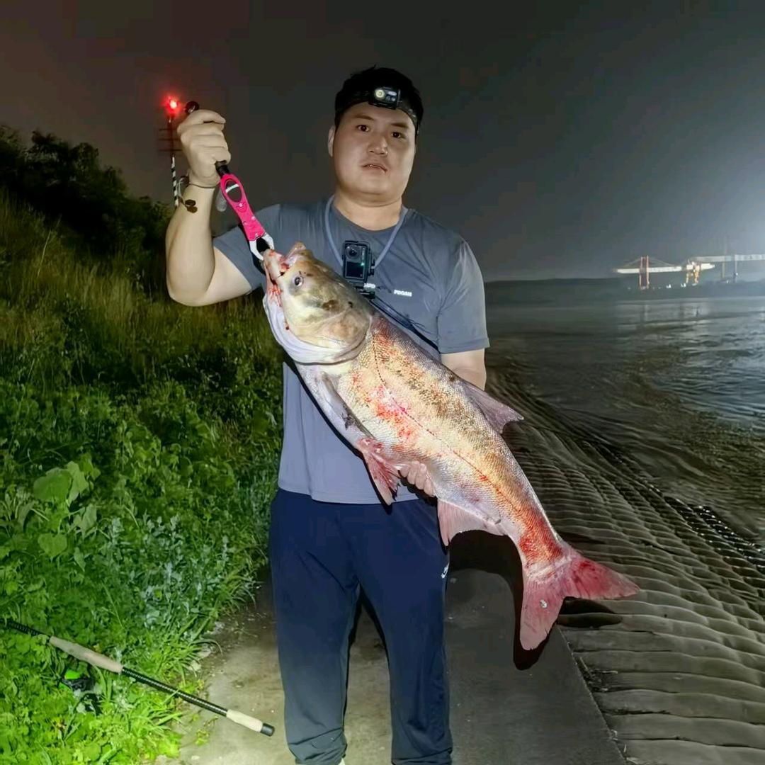 ⚓狂拉硬拽⚓矛山派