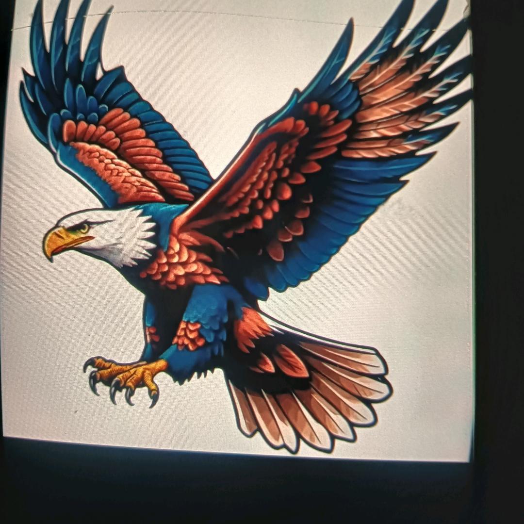 飞翔的鹰《🦅》