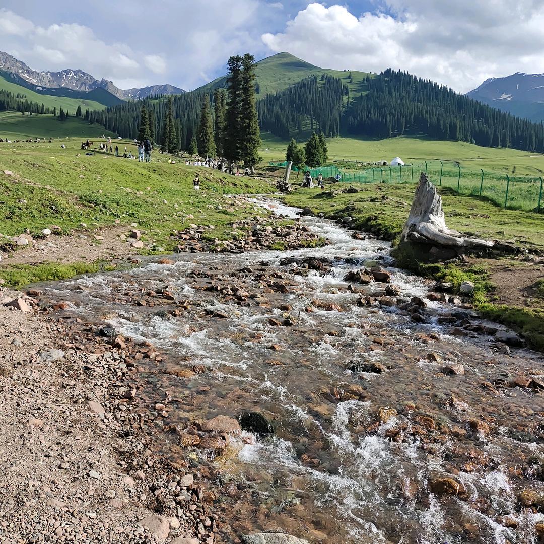 🌈陪你度过漫长岁月🌈