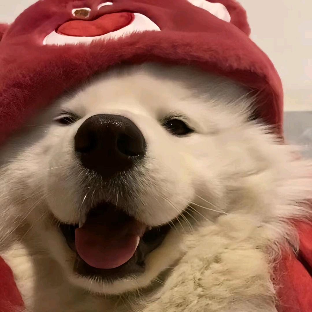 不要掉头发