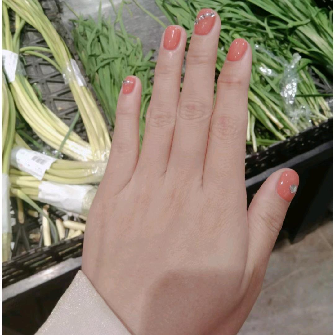 樱花姑娘