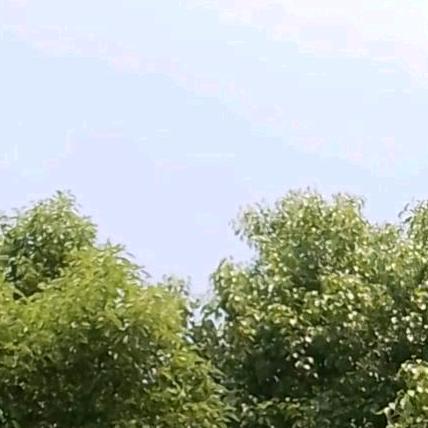 做人低调