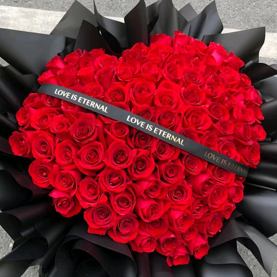 大黄喜欢美阳阳