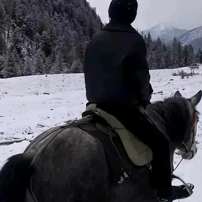 西瓜严选