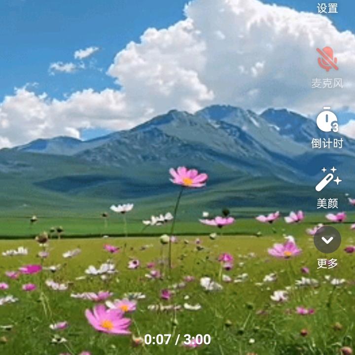 王家老爷子