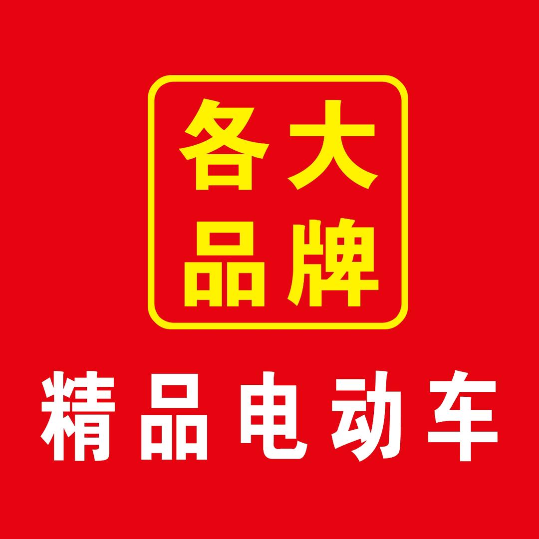 精品二手电动车