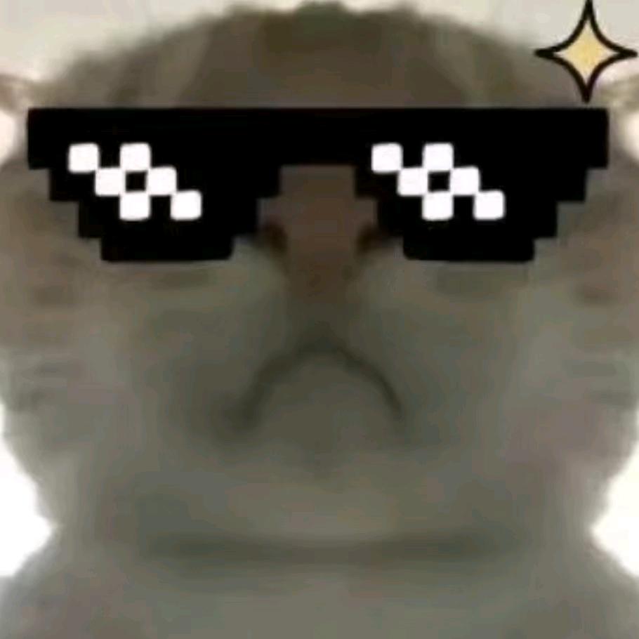 不管了