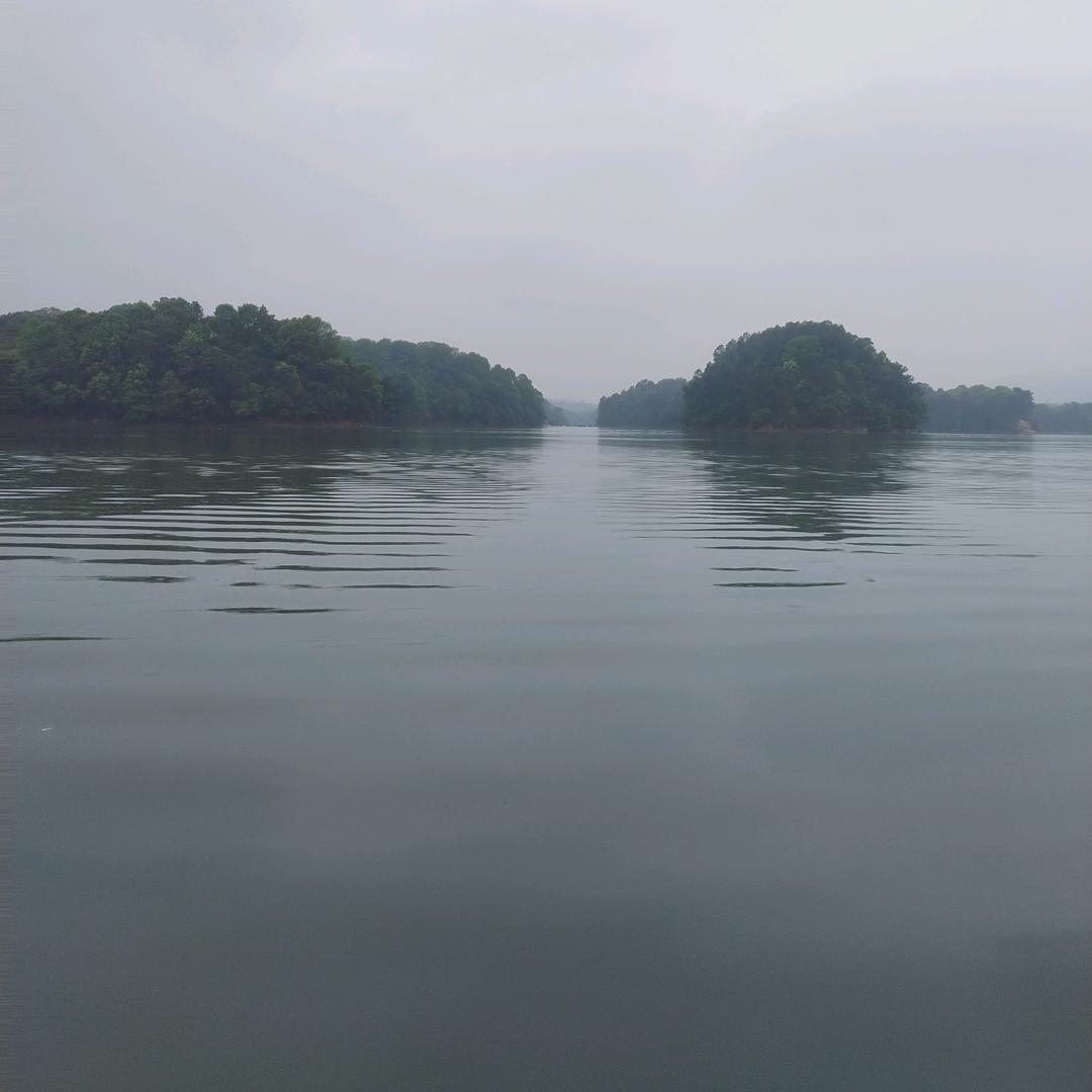 .♡̶眼̶里̶有̶星̶河̶