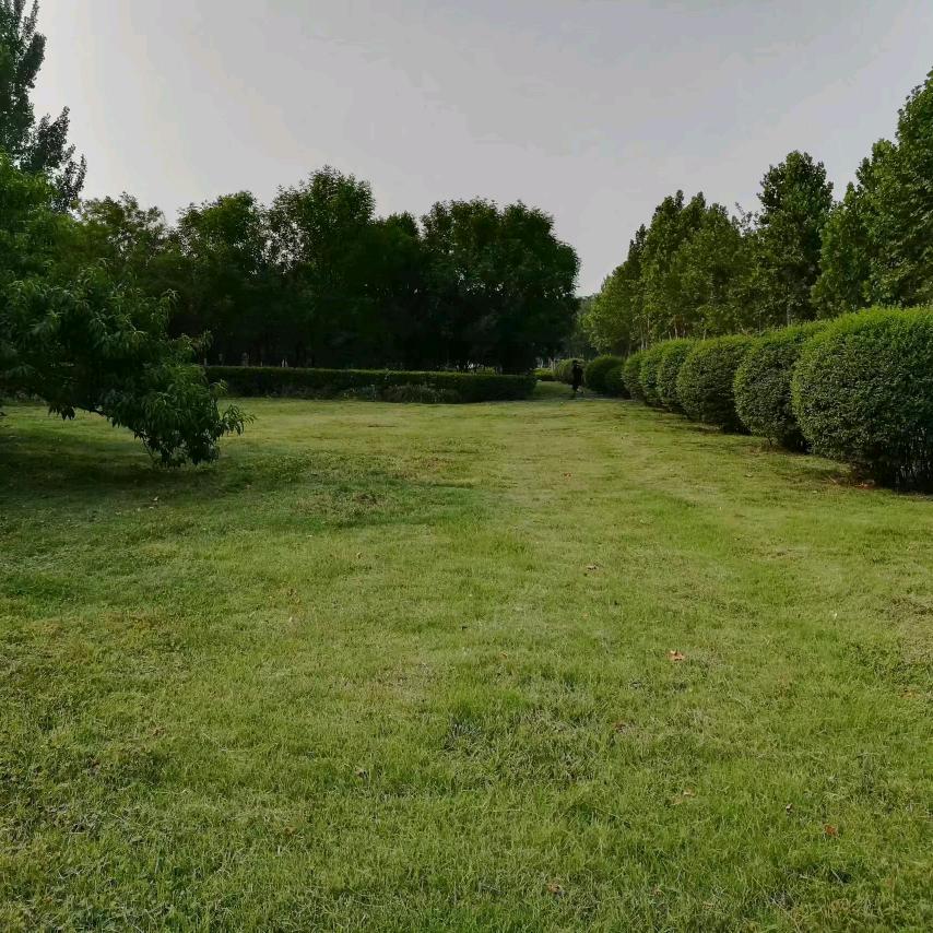 我知道一切都很美好