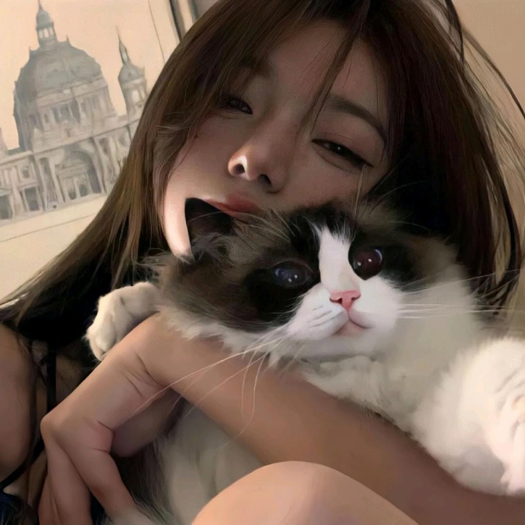 黄油与猫