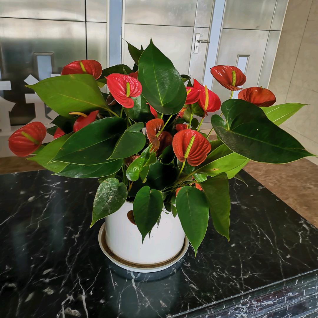 不再相信依赖任何人