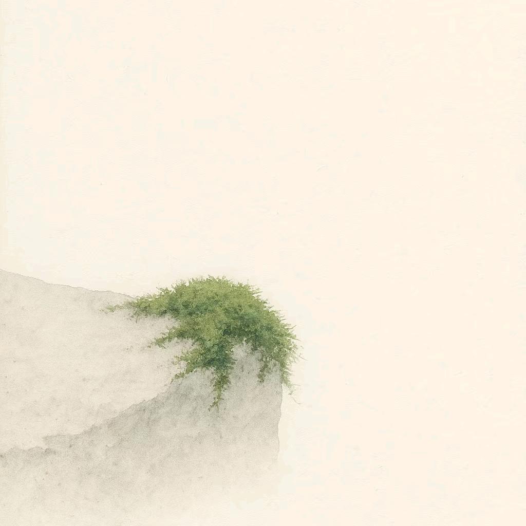 养心