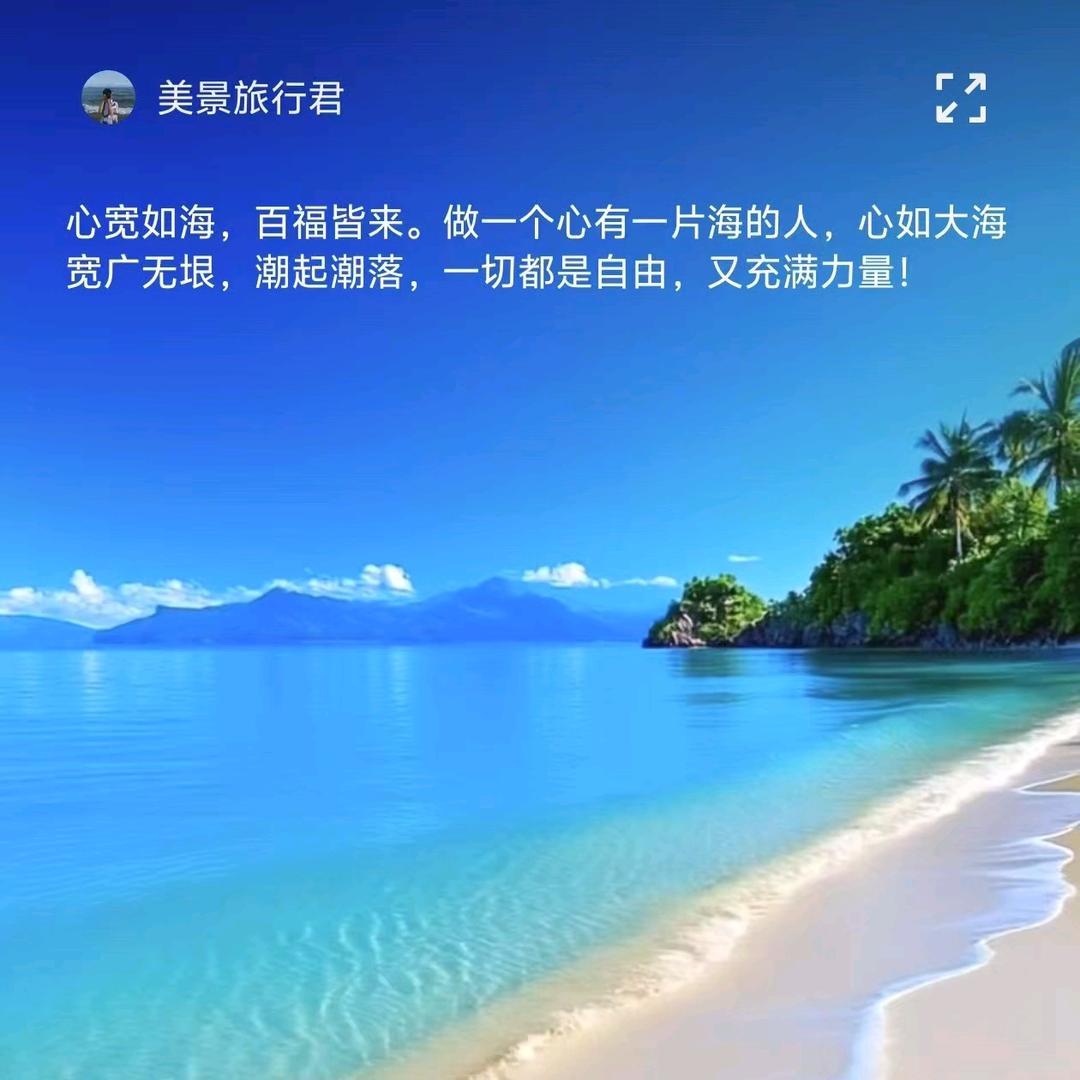 淡念