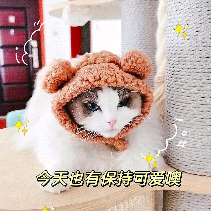 去掉半杯烦恼🧸