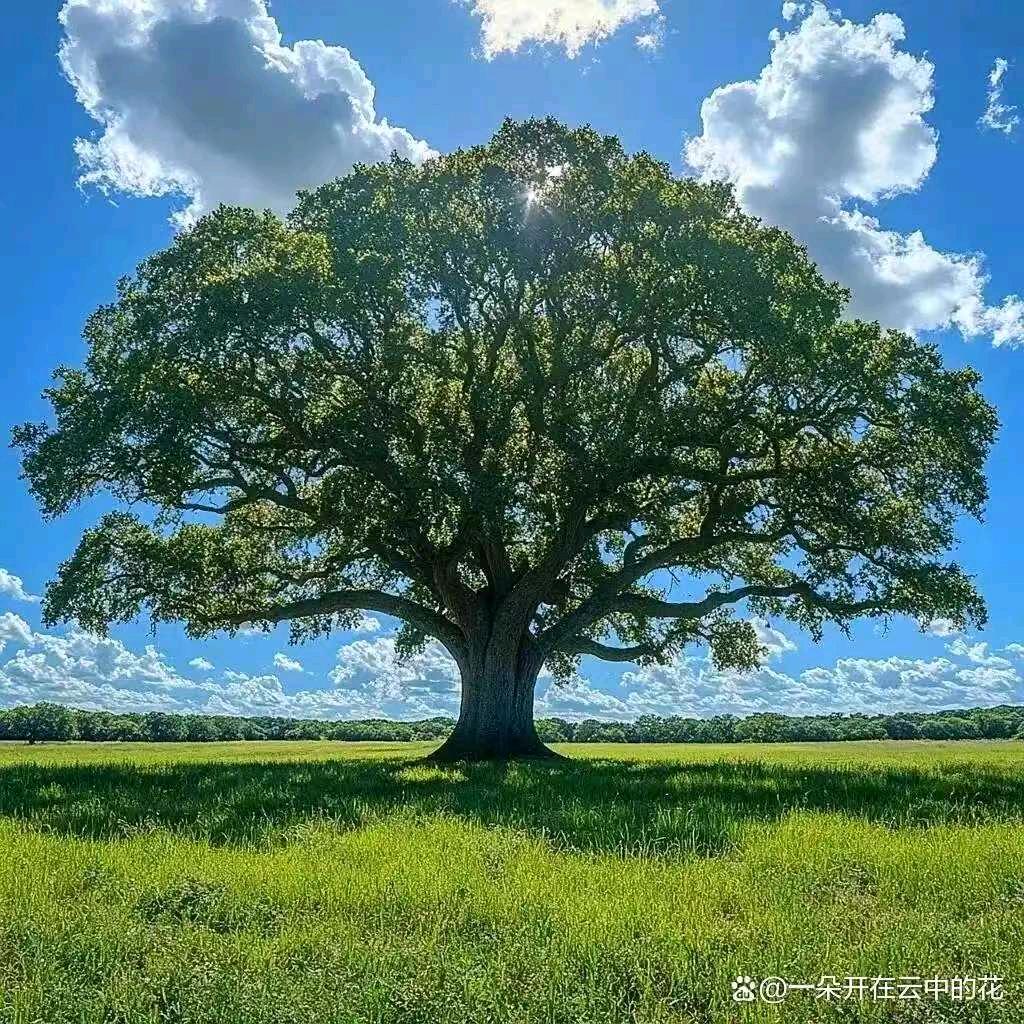 只有想不到的事，没有做不到的事