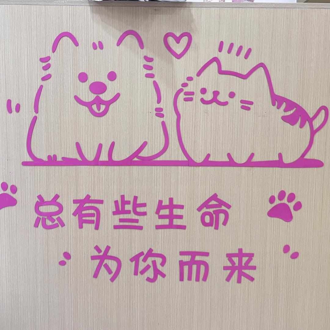 猫屋小店