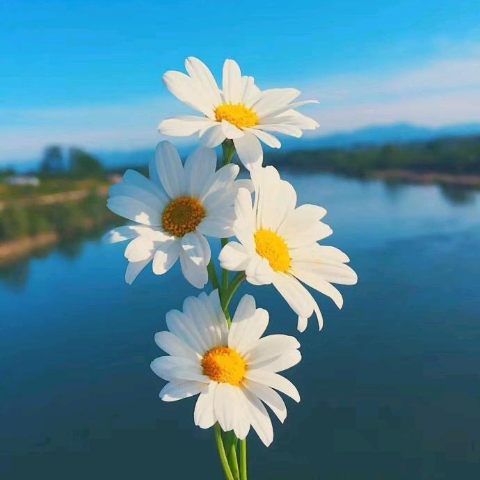 永远活出冠军的状态