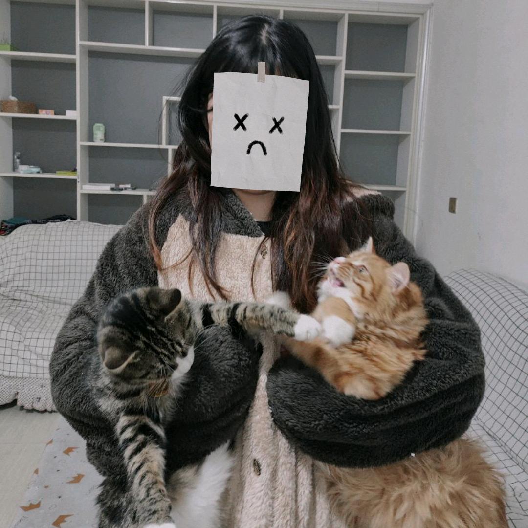 大米饭和小馒头🐱🐱