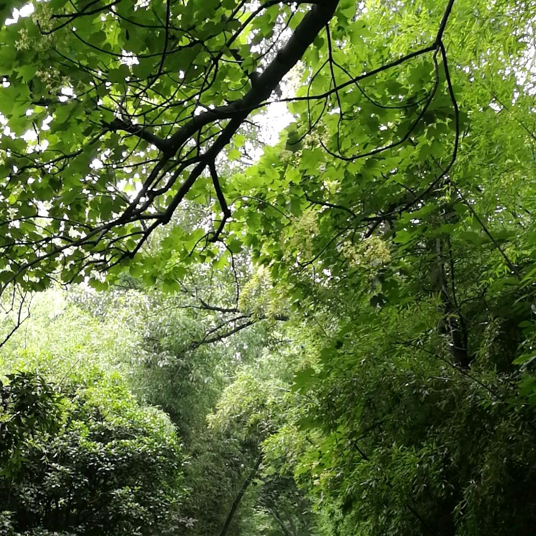 一路向前