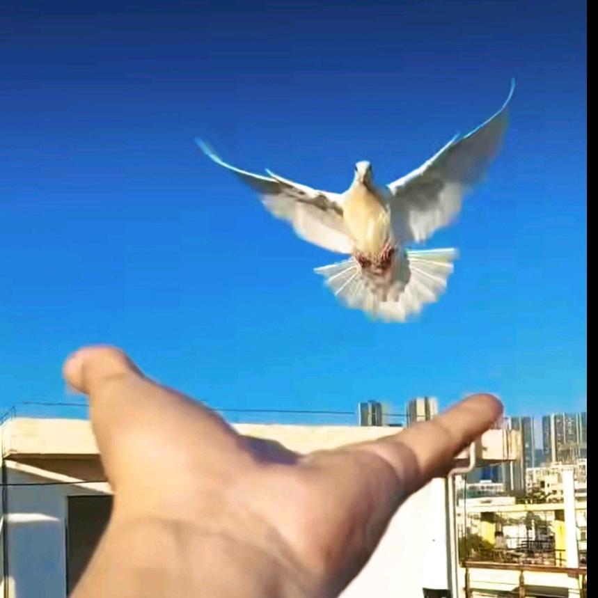 我奈无名