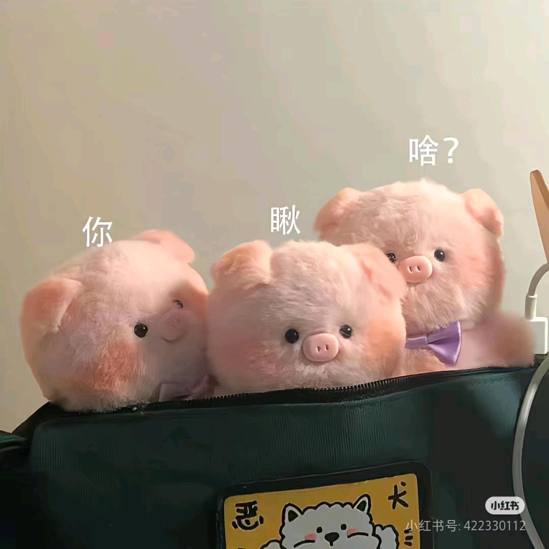 小兔布丁